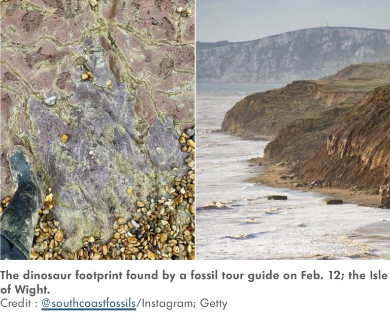 A Purple Footprint on the Isle of Wight A Fleeting Glimpse into the Cretaceous