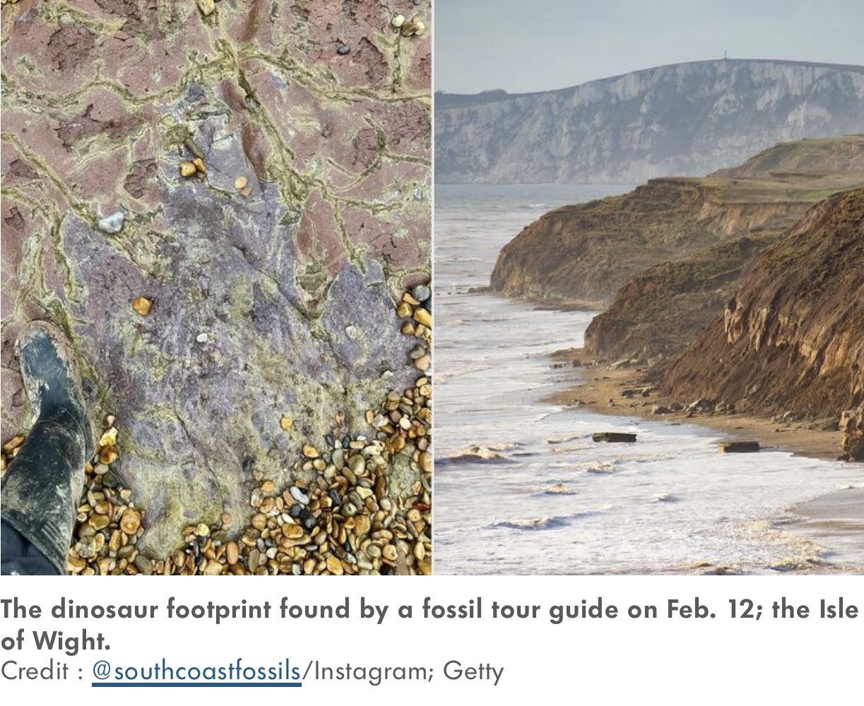A Purple Footprint on the Isle of Wight A Fleeting Glimpse into the Cretaceous