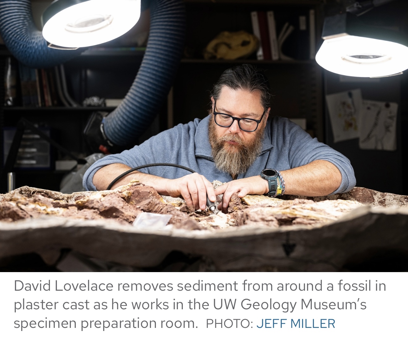 Ahvaytum bahndooiveche Earliest Dinosaur in the Northern Hemisphere