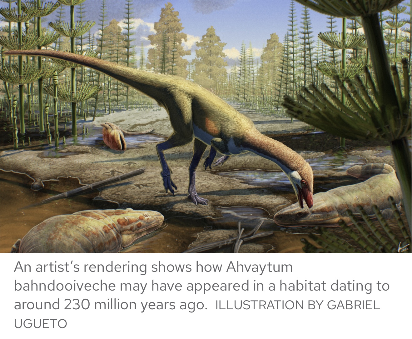 Ahvaytum bahndooiveche Earliest Dinosaur in the Northern Hemisphere