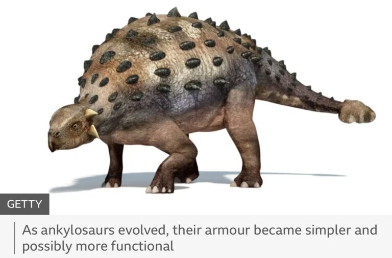 Ankylosaurs Take Experimentation to Extremes Revisiting Spicomellus
