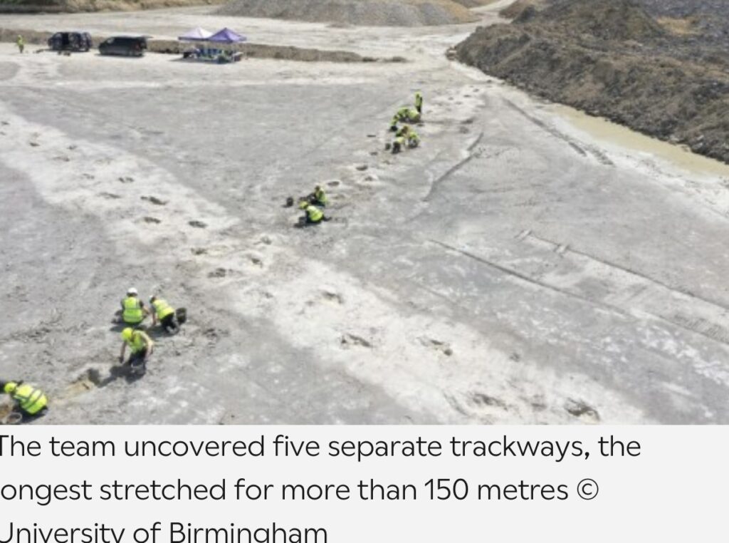 Britain’s Jurassic Highway Unearthing a 166‑Million‑Year‑Old Footprint Site