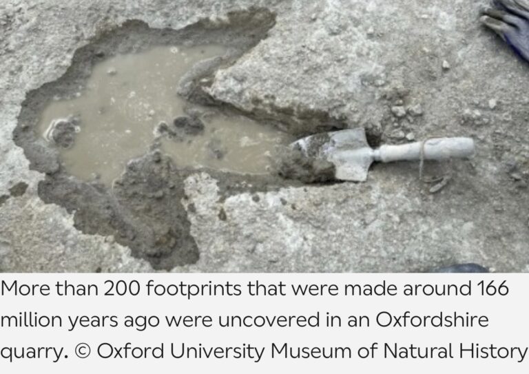 Britain’s Jurassic Highway Unearthing a 166‑Million‑Year‑Old Footprint Site