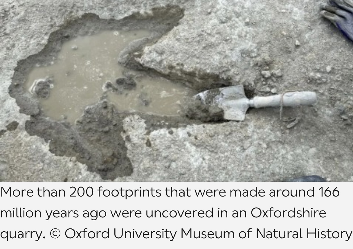 Britain’s Jurassic Highway Unearthing a 166‑Million‑Year‑Old Footprint Site