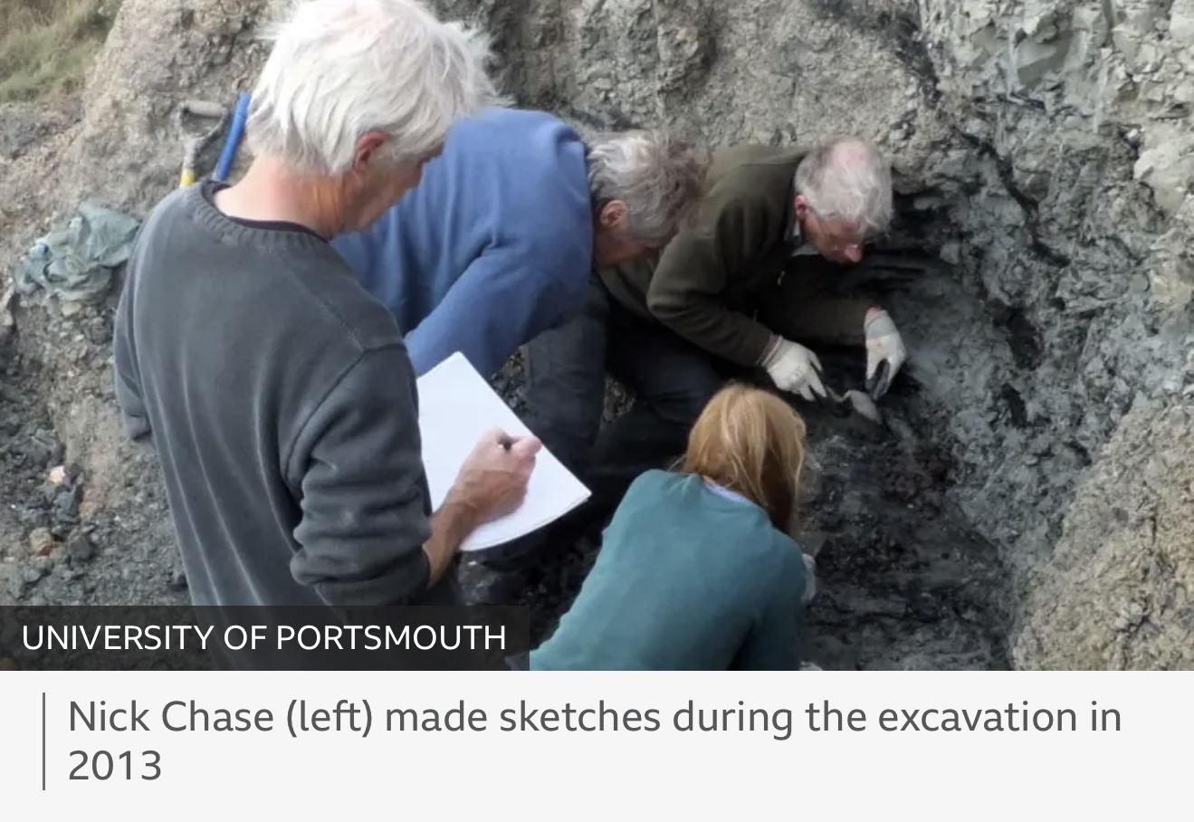 Comptonatus chasei Britain’s Most Complete Dinosaur Skeleton in a Century