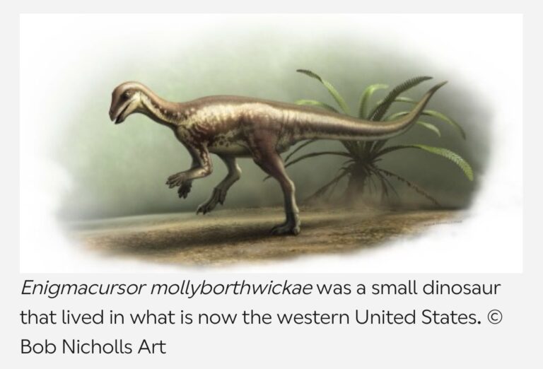 Enigmacursor The Puzzling Runner of the Jurassic