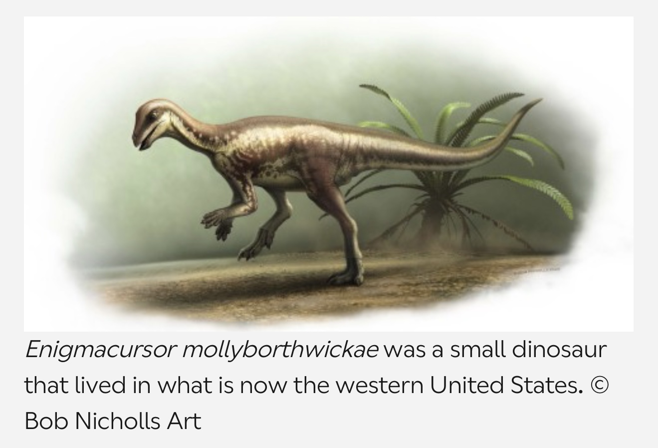 Enigmacursor The Puzzling Runner of the Jurassic