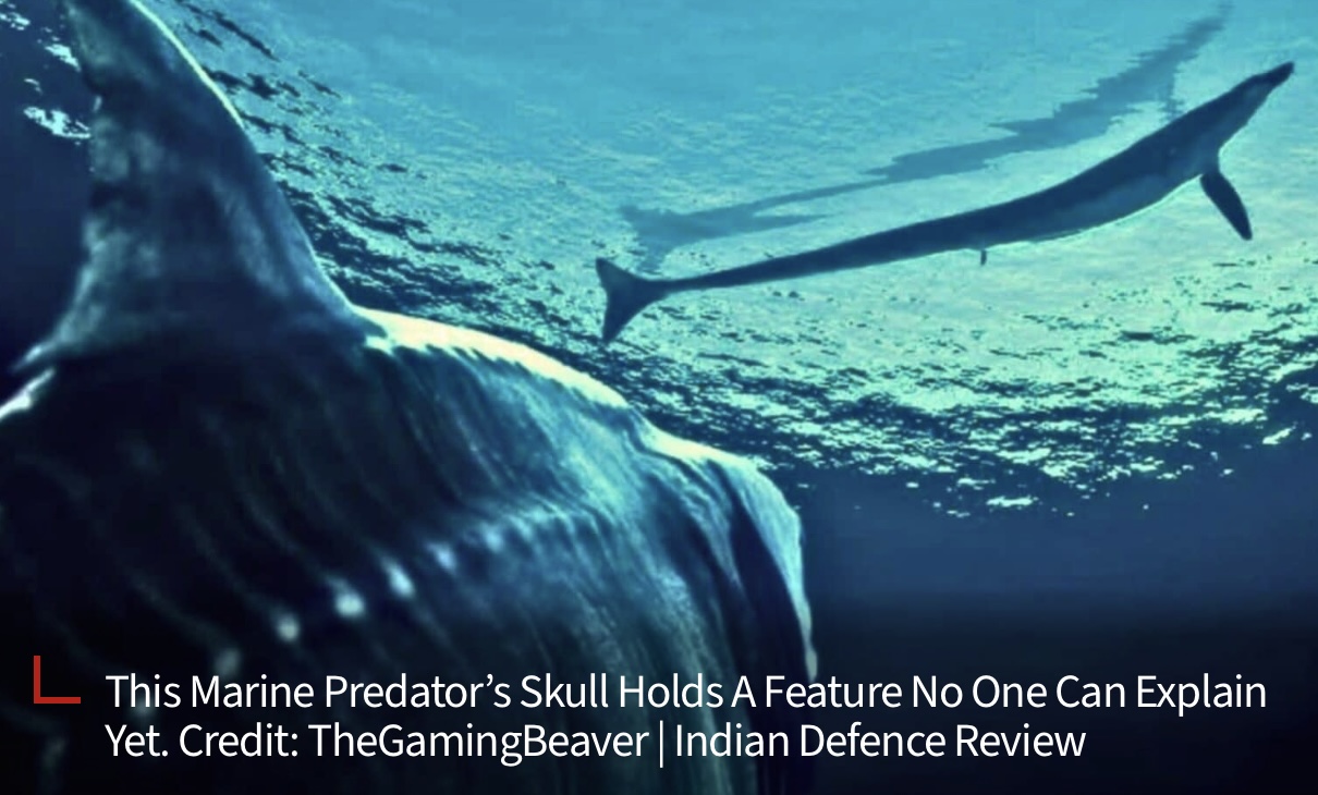 Eurhinosaurus mistelgauensis The Jurassic Sea Monster with a Swordfish Snout