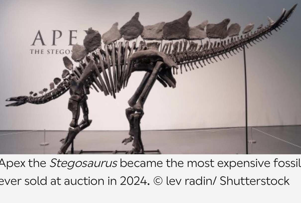 Fossils for Sale Balancing Private Collecting and Public Science