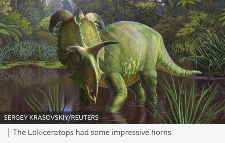 Horns That Outshine Antlers The Display Arms Race of Lokiceratops