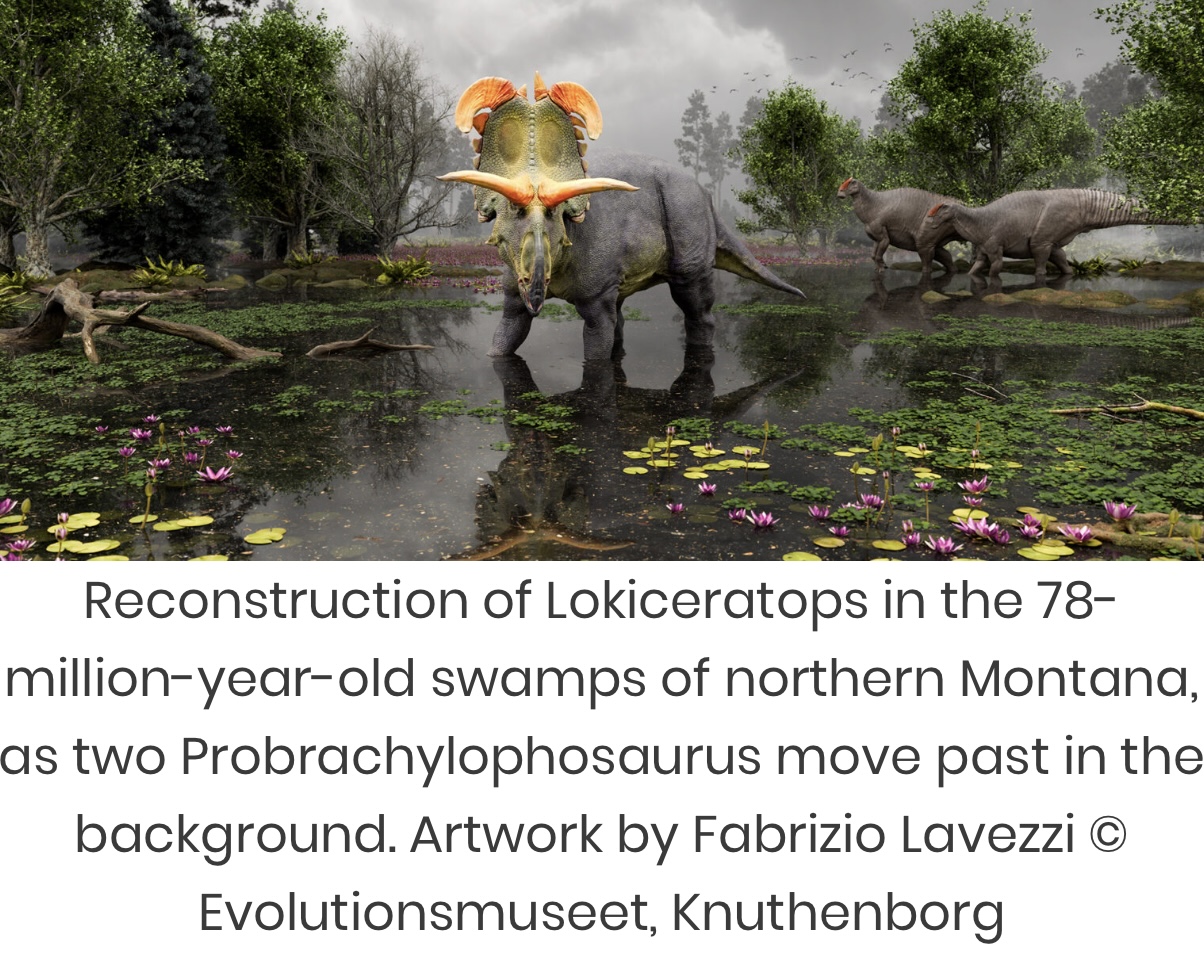 Loki’s Horned Face The Ceratopsian With Blade‑Like Horns