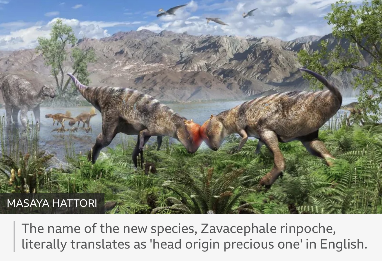 Zavacephale rinpoche Oldest Dome‑Headed Dinosaur Pushes Back the Clock